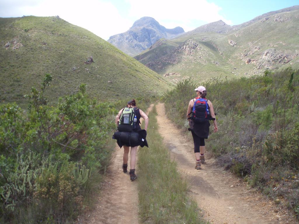 Backpackers & Budget *